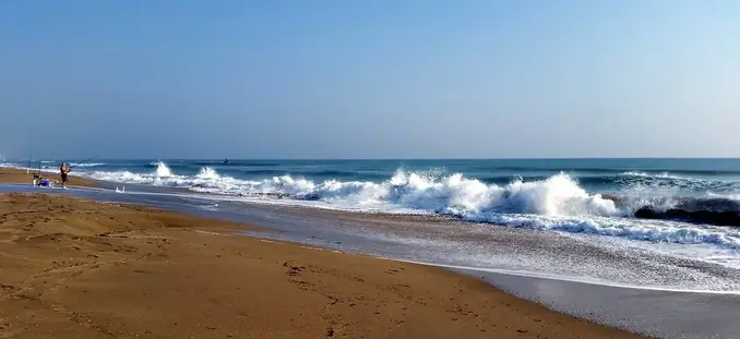 tropic beach
