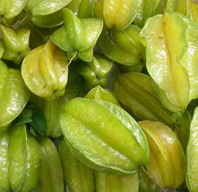 Carambola Harvest