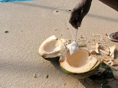 coconut jelly