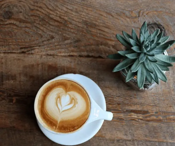 Chilling Out with Probiotics