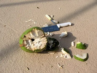 hacked coconut