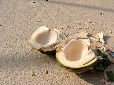 jelly coconut