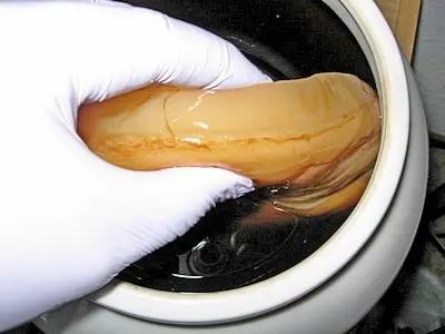 kombucha