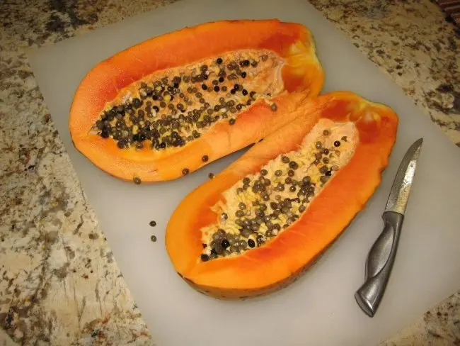 Florida Papaya