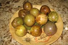 Passion fruit harvest
