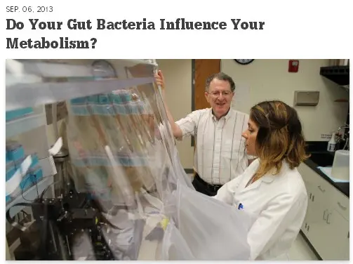 Gut Bacteria and Metabolism