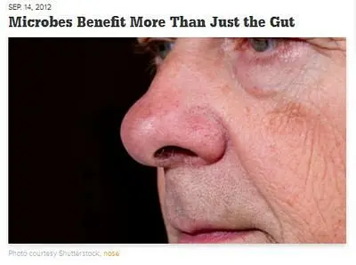 Probiotics for the Nose