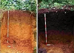 Natural Is The Solution